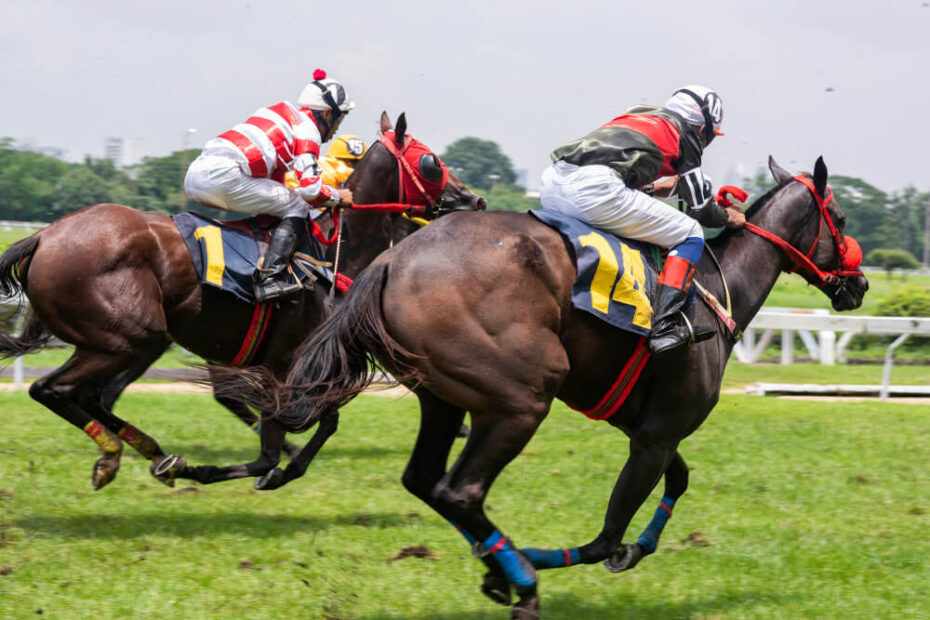 Strategy in Horse Racing Betting